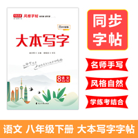 写意年华大本写字八年级语文下册楷书书法练字课文知识点同步字帖规范书法临摹练习本