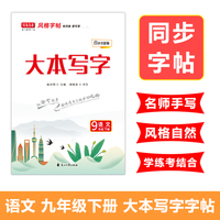 写意年华大本写字九年级语文下册楷书书法练字课文知识点同步字帖规范书法临摹练习本