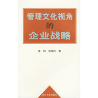 管理文化视角的企业战略——黄皮书系列
