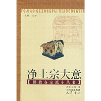 净土宗大意/佛教各宗派小丛书