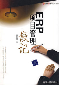 ERP项目管理散记(用友ERP系列丛书)