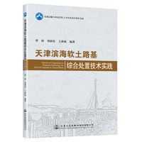 天津滨海软土路基综合处置技术实践