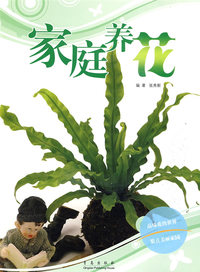 传统花卉