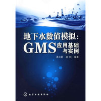 地下水数值模拟:GMS应用基础与实例