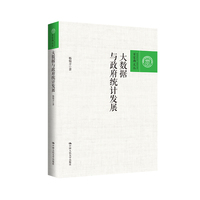 大数据与政府统计发展（百家廊文丛）