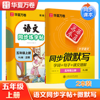 华夏万卷 小学语文五年级上册语文同步练字帖同步微默写练习字帖 小学生练字专用同步人教版课本临摹硬笔书字帖（2本装）