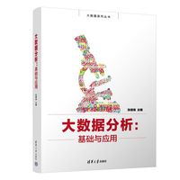 大数据分析:基础与应用