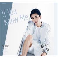 2015 张阳阳《若你懂我》（京东专卖）（CD）