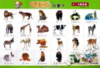 奇童梦乐启蒙卡(全套6张)