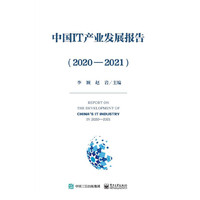中国IT产业发展报告（2020—2021）