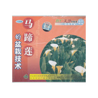 马蹄莲的盆栽技术(VCD)