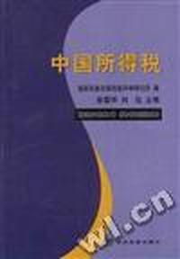 中国所得税