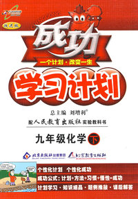 成功学习计划：九年级化学 下（人教版）