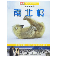 南北极——视觉奇观22