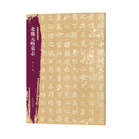 北朝墓志精选 北魏元略墓志