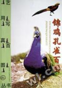 锦鸡孔雀百图