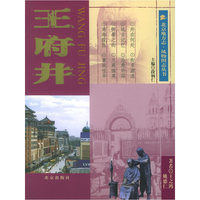 王府井——北京地方志·风物图志丛书