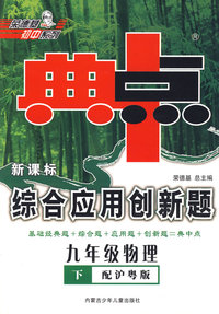 新课标综合应用创新题：九年级物理 下（配沪粤版）/典中点