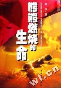 熊熊燃烧的生命