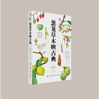 葱茏草木映古典