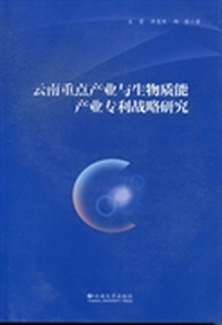 云南重点产业与生物质能产业专利战略研究