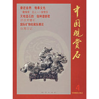 中国观赏石 4