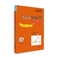 2020挑战压轴题·中考数学—轻松入门篇