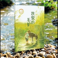 我的动物朋友 我家的毛驴