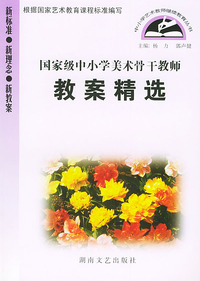 国家级中小学美术骨干教师教案精选——中小学艺术教师继续教育丛书