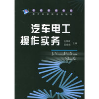 汽车电工操作实务——技能培训书系