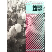 色彩默写全程教学