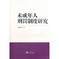 未成年人刑罚制度研究