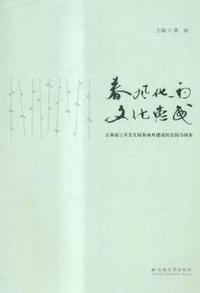 春风化雨 文化惠民-云南省公共文化服务体系建设的实践与探索