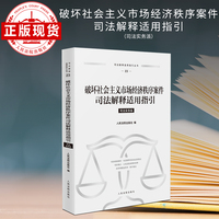 破坏社会主义市场经济秩序案件司法解释适用指引