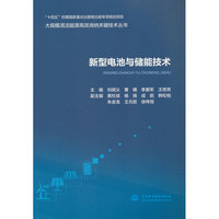新型电池与储能技术（大规模清洁能源高效消纳关键技术丛书）