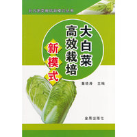 大白菜高效栽培新模式
