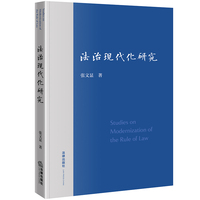 法治现代化研究