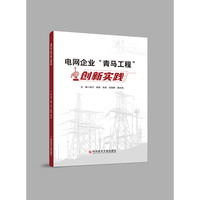 电网企业“青马工程”创新实践