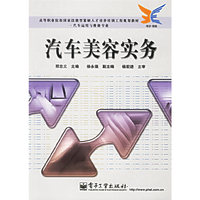 汽车美容实务