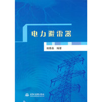 电力避雷器
