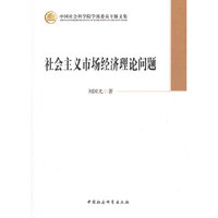 社会主义市场经济理论问题