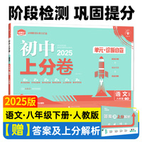 2025版理想树初中上分卷 八年级下册 语文 阶段检测巩固提分 人教版