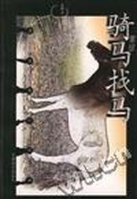 骑马找马