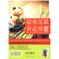 居家花草开运布置（财运就从花草布置开始！）