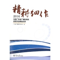 精耕细作：2016年度广东省广播影视奖获奖作品精选点评