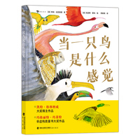 当一只鸟是什么感觉 与国际鸟类学家×插画大奖得主一起， 探索鸟类独特的生活方式