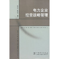 电力企业经营战略管理