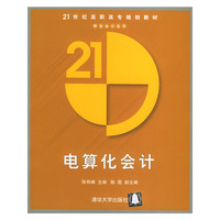 21世纪高职高专规划教材财务会计系列：电算化