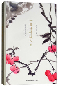 一壶诗情暖人生：王晓超诗词选