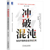 冲破混沌：生生不息的企业文化之光